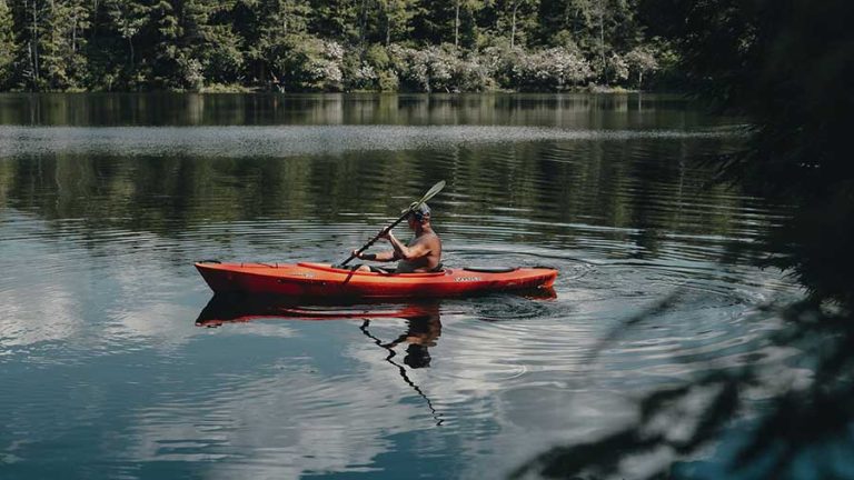 使用Wordpress搭建独立站一定要避免代码癖