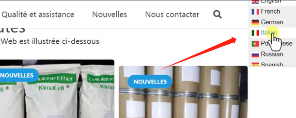 1 GTranslate翻译插件效果展示