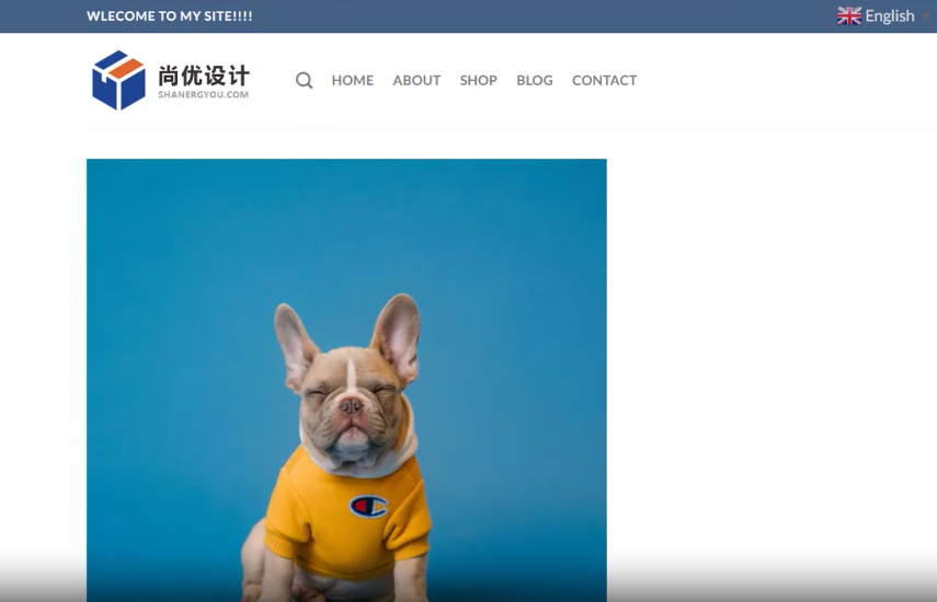 18 WPBakery Page Builder图片显示效果