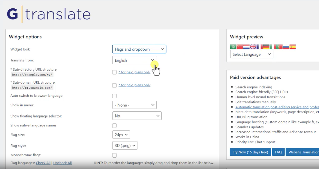 3 GTranslate设置界面
