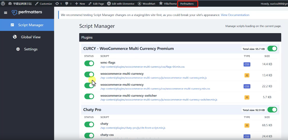 7 Perfmatters强大的script manager功能