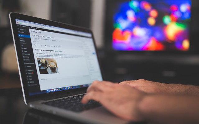 wordpress 923188 640