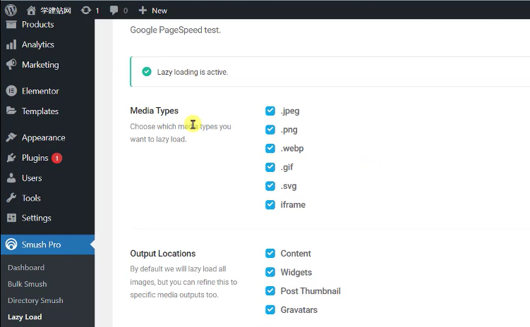 11 wp smush pro懒加载图片类型