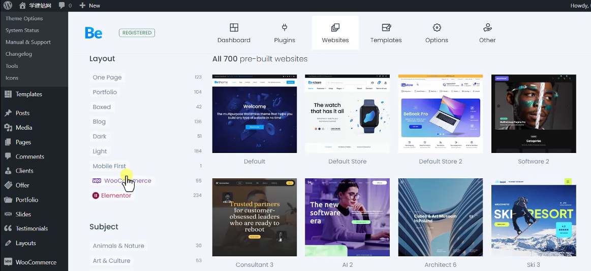 15 Betheme主题风格websites