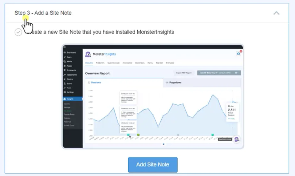 WP-monsterinsights-11-站点标签
